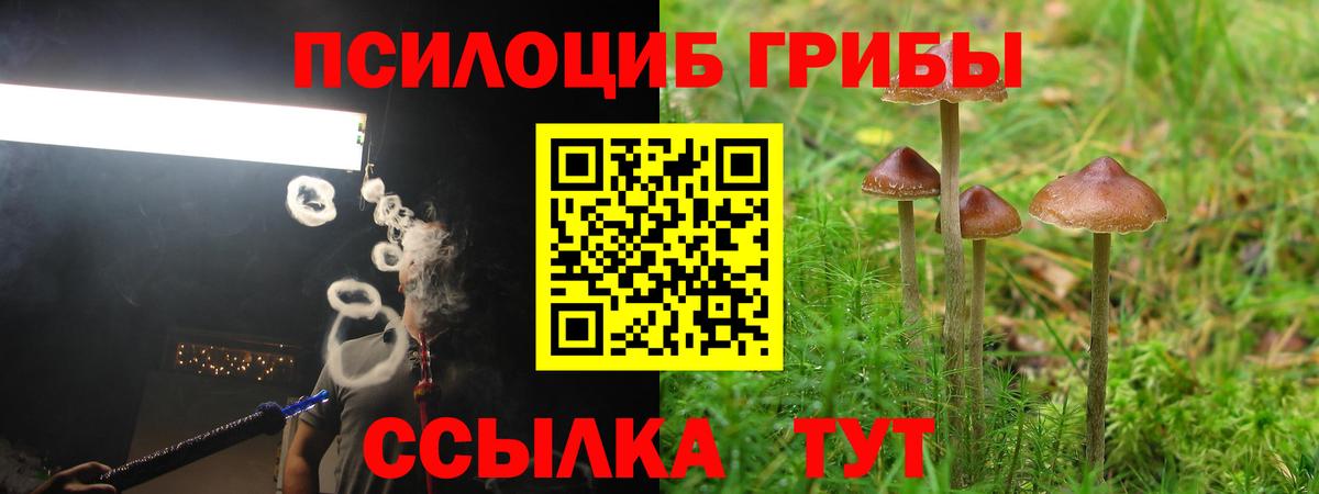 Псилоцибиновые грибы GOLDEN TEACHER Керчь